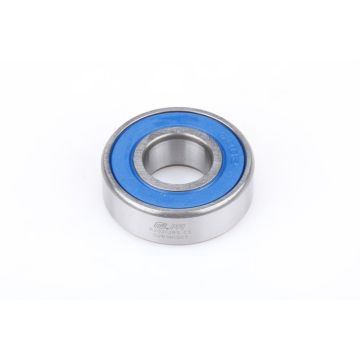 6202-2RS C3.EXF