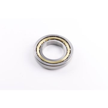 BB00031