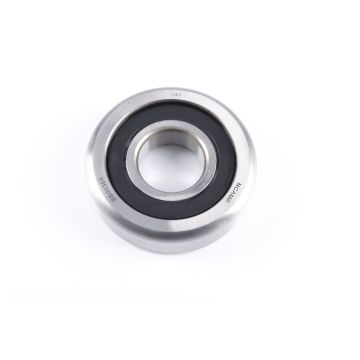 BB00303